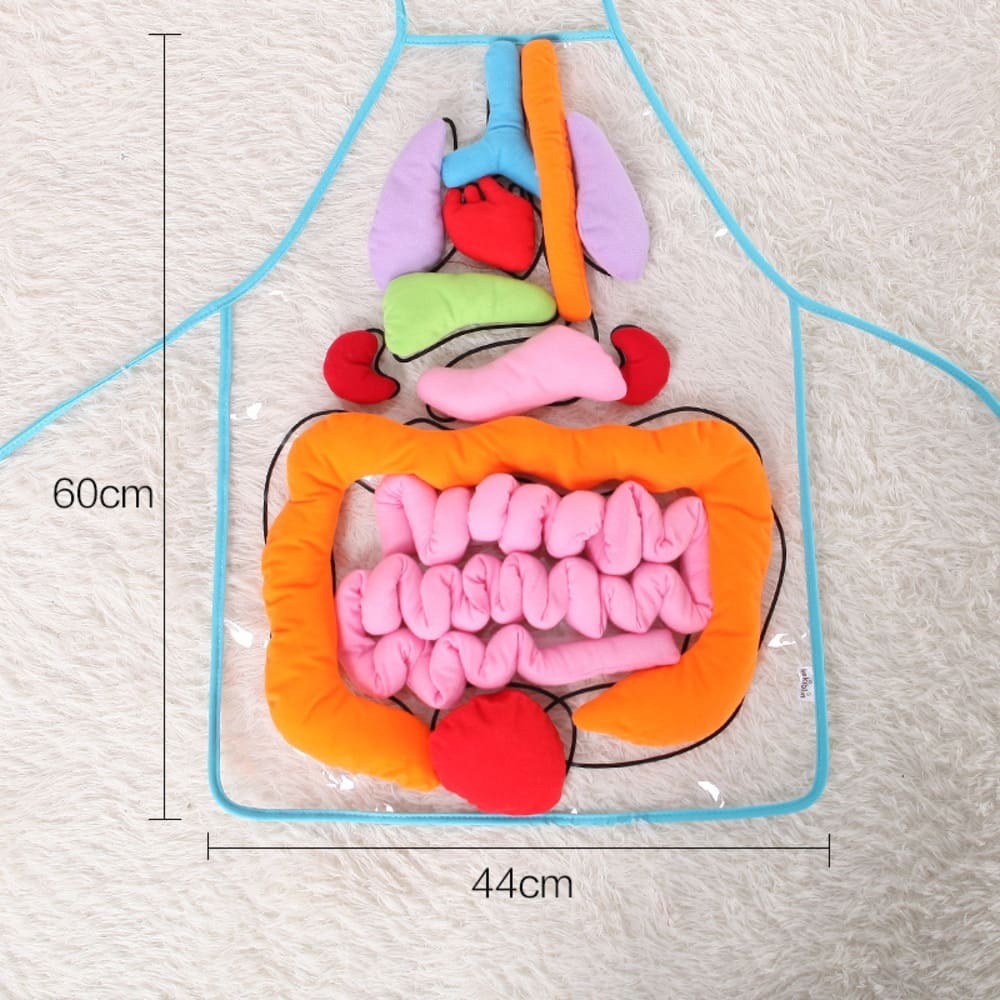 Internal organs puzzle, human organs, educational toys, early education, science, children, kids, doctor play set - 画像5