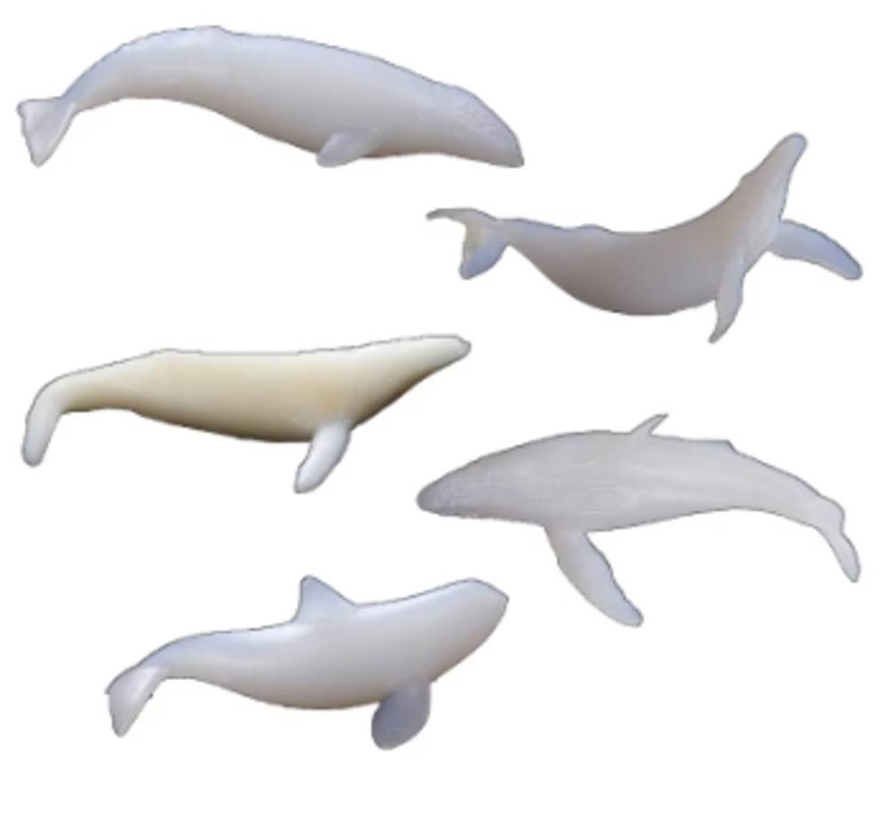 クジラ フィギュア 鯨  ホエール 海 置物 セット ホワイト 白 5個 インテリア 白