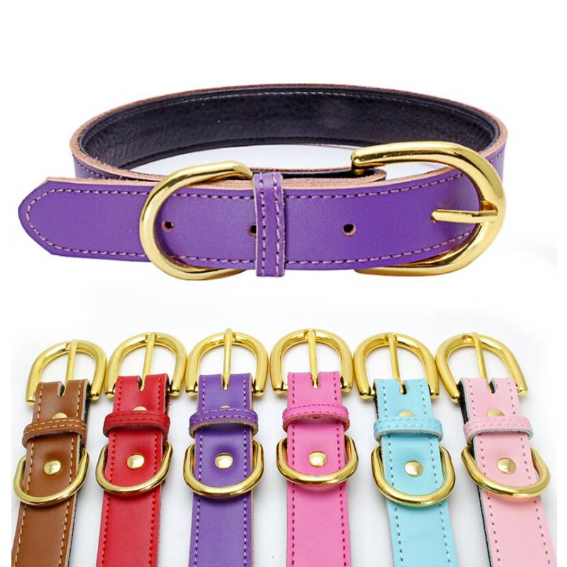 ペット 首輪 犬 猫 イヌ ネコ サイズ調節 ソフトレザー アクセサリー シンプル ペット用品 紫-M｜紫-M - 画像2